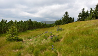 ROVNA HOLA -  LOW TATRAS & WESTERN TATRAS