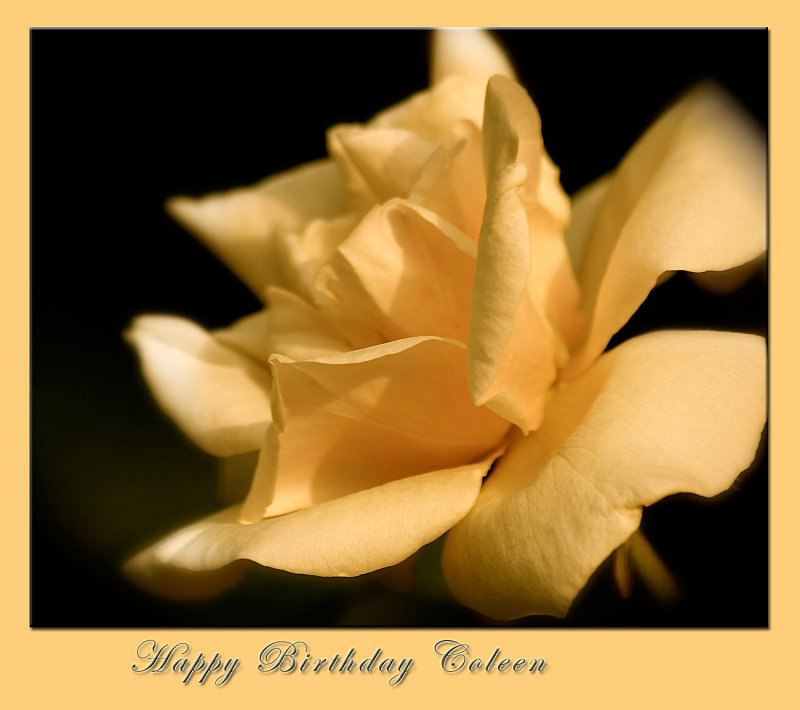 Happy Birthday Coleen