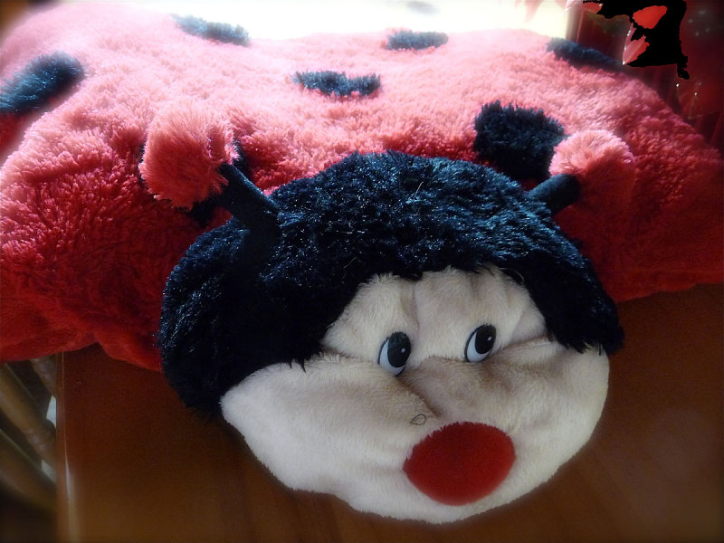 Happiness is ~ A Pet Pillow