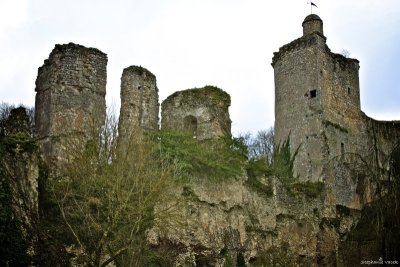 Vendme castle ruins
