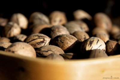 Nuts to you