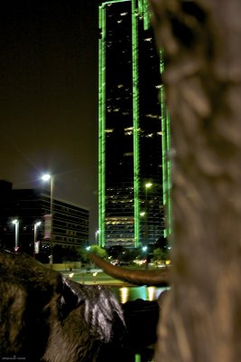 Pioneer Plaza Cattle Drive