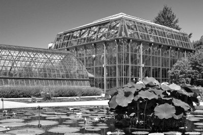 Longwood greenhouses