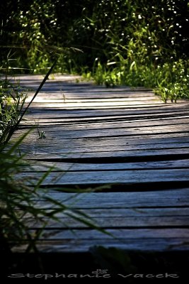 Boardwalk