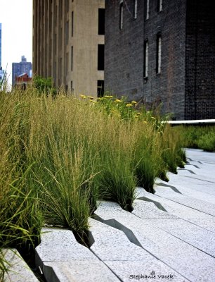 High Line walkway