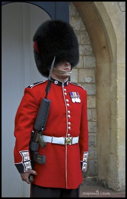 Guarding Windsor Castle