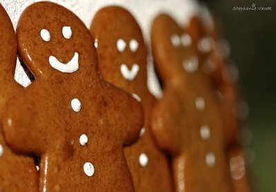 The Gingerbread Man