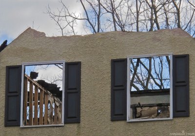 Missing windows