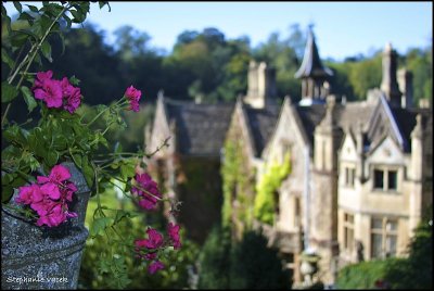 A gardens eye view of the Manor House