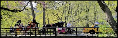 Central Park Transit