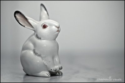 White Rabbit