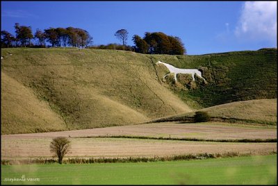 Cherhill Horse