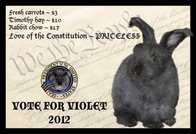 Constitutional Bunny