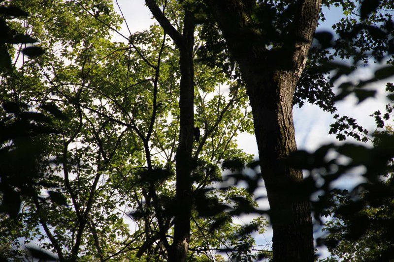 IMG_4124077.jpg