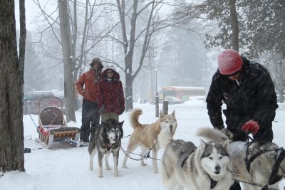 dog sleigh.jpg