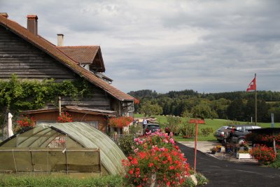 Swiss Holiday
