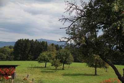 IMG_4218003.jpg