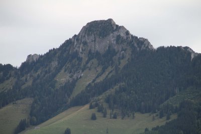 IMG_4219004.jpg