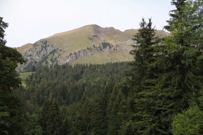 IMG_4241026.jpg