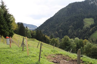 IMG_4243028.jpg