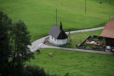 IMG_4244029.jpg