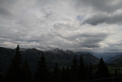 IMG_4250035.jpg