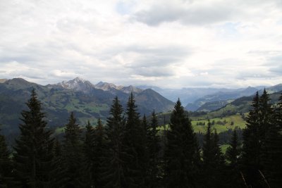 IMG_4251036.jpg
