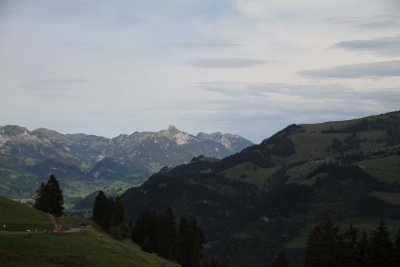 IMG_4253038.jpg