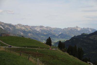 IMG_4255040.jpg