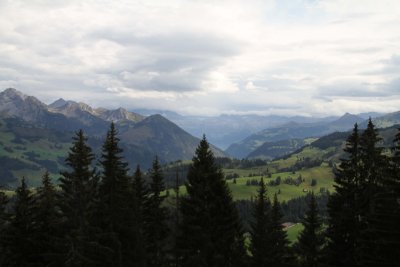 IMG_4257042.jpg