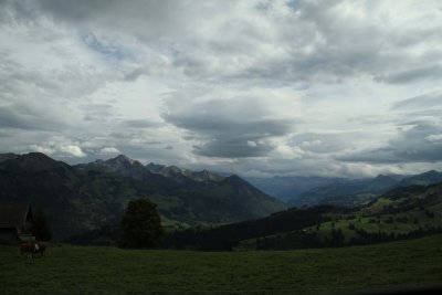 IMG_4268053.jpg