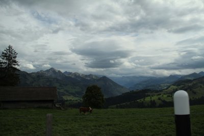 IMG_4269054.jpg