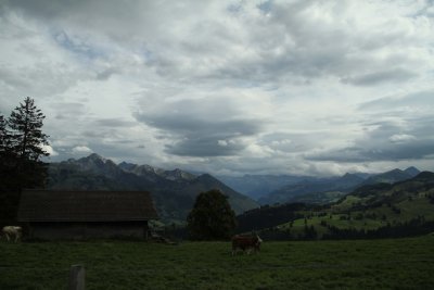 IMG_4270055.jpg