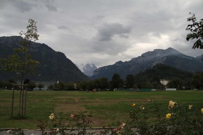 IMG_4296081.jpg
