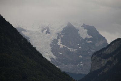 IMG_4297082.jpg