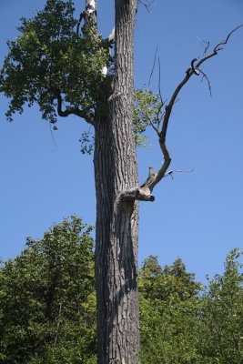 IMG_4049003.jpg