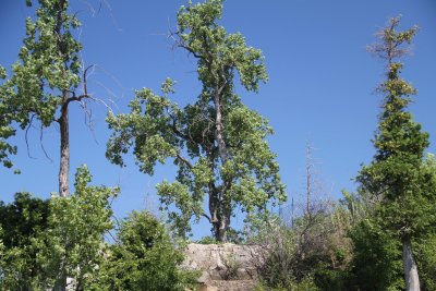 IMG_4051005.jpg