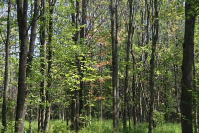 IMG_4070024.jpg