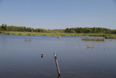 IMG_4079033.jpg