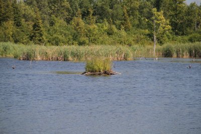 IMG_4080034.jpg