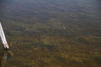 IMG_4084038.jpg