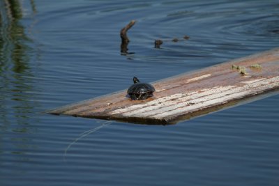 IMG_4093047.jpg