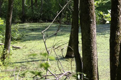 IMG_4112066.jpg