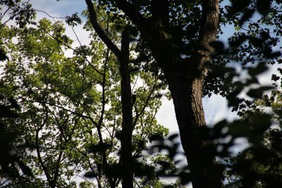 IMG_4126079.jpg