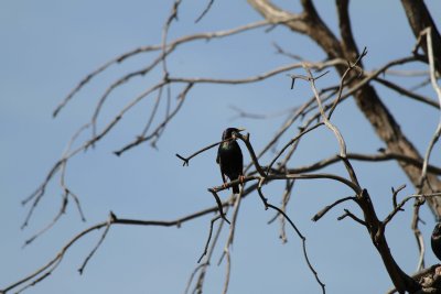 IMG_4160017.jpg