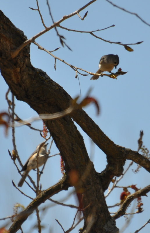 DSC_0494b.JPG