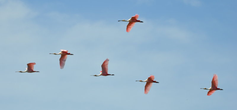 DSC_2864b.JPG