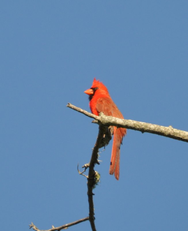 DSC_0075b.JPG