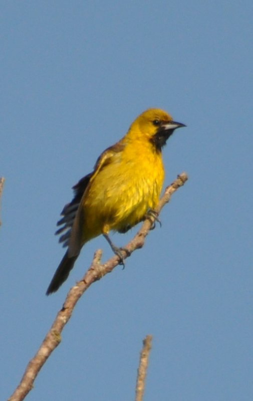 DSC_0008b.JPG