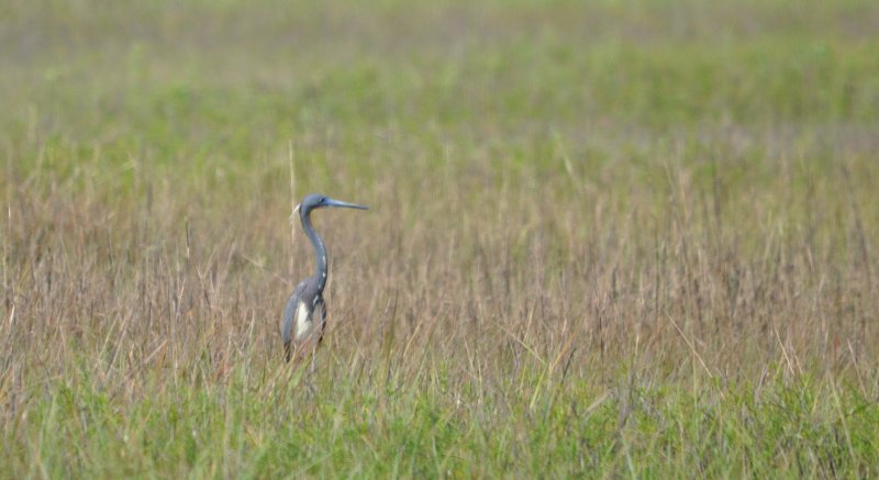 DSC_0119b.JPG